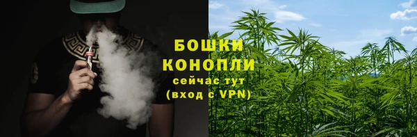 ПСИЛОЦИБИНОВЫЕ ГРИБЫ Новозыбков