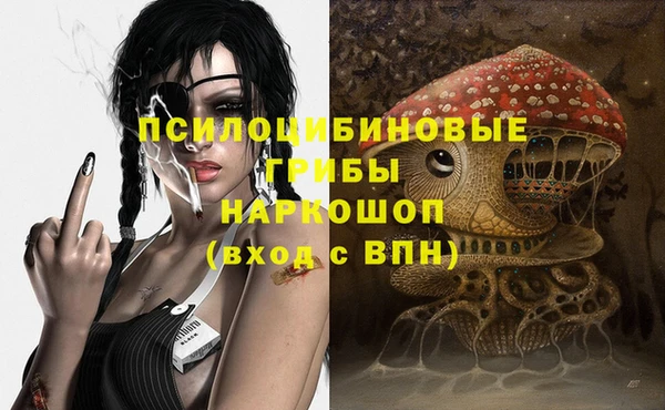 ПСИЛОЦИБИНОВЫЕ ГРИБЫ Новозыбков