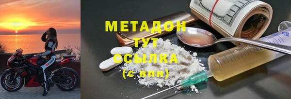 ПСИЛОЦИБИНОВЫЕ ГРИБЫ Новозыбков