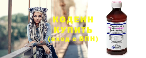 ПСИЛОЦИБИНОВЫЕ ГРИБЫ Новозыбков