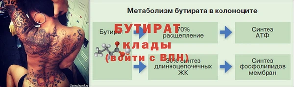 ПСИЛОЦИБИНОВЫЕ ГРИБЫ Новозыбков