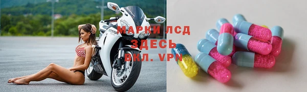 амф Новокубанск
