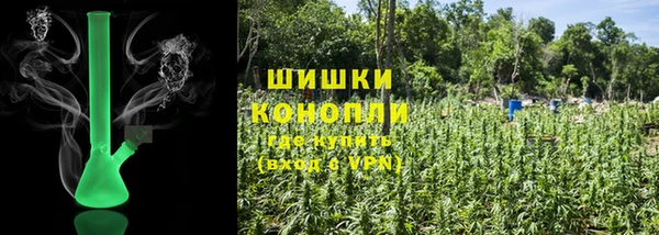 ПСИЛОЦИБИНОВЫЕ ГРИБЫ Новозыбков