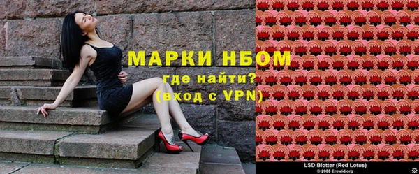 амф Новокубанск