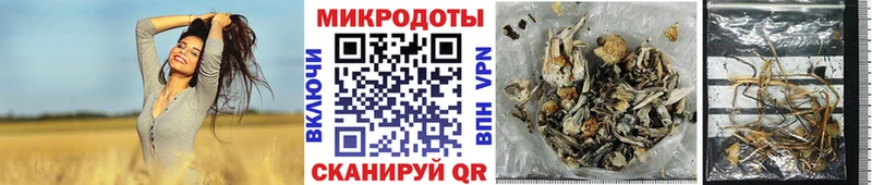 Псилоцибиновые грибы ЛСД купить цена Разумное